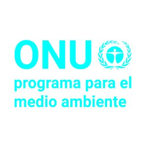 Logo Onu