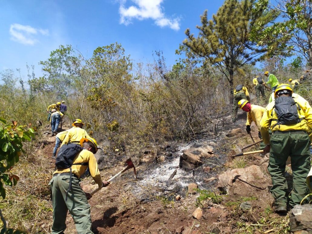 Bomberos forestales controlaron el incendio