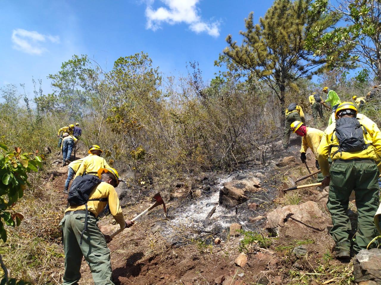Bomberos forestales controlaron el incendio
