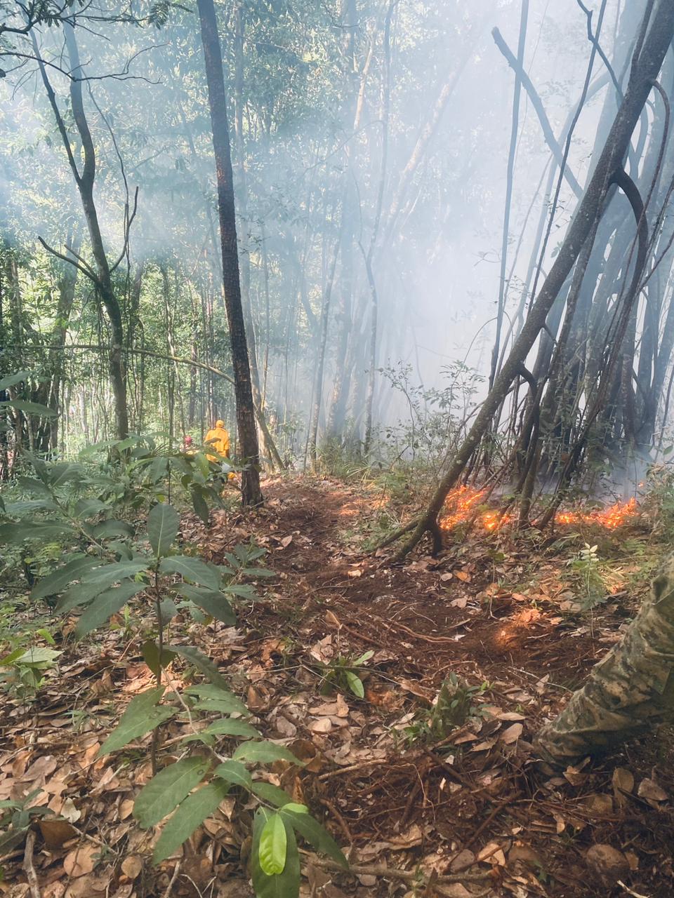 Bomberos forestales extinguen incendios en Guaigüí y combaten otro en El Puerto