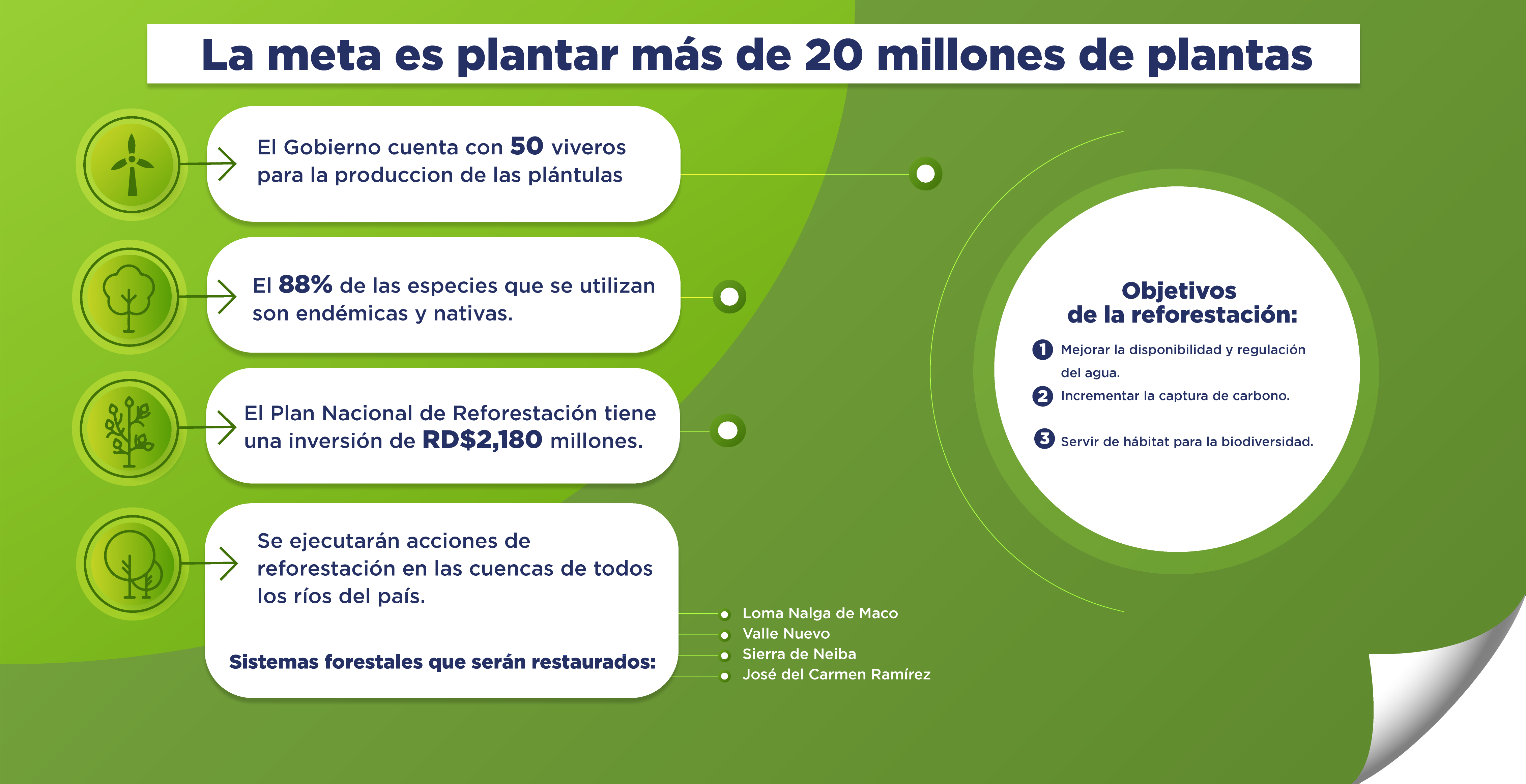 Infografia plan reforestacion