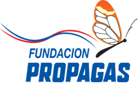 Logo Fundación propagas