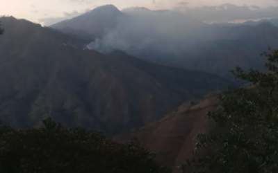Bomberos forestales combaten incendios en lomas de Monseñor Nouel y San Juan
