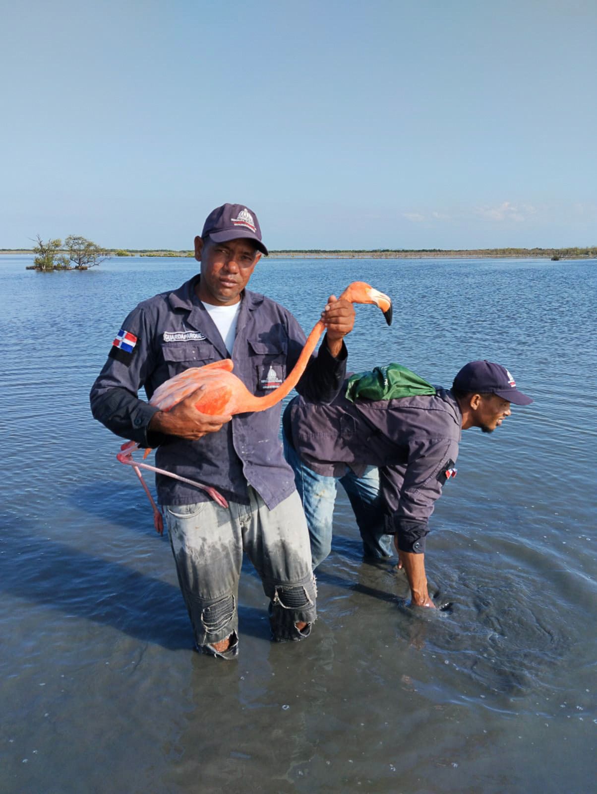 Guardaparques de Medio Ambiente mantienen vigilancia permanente en los estuarios de Estero Balsa