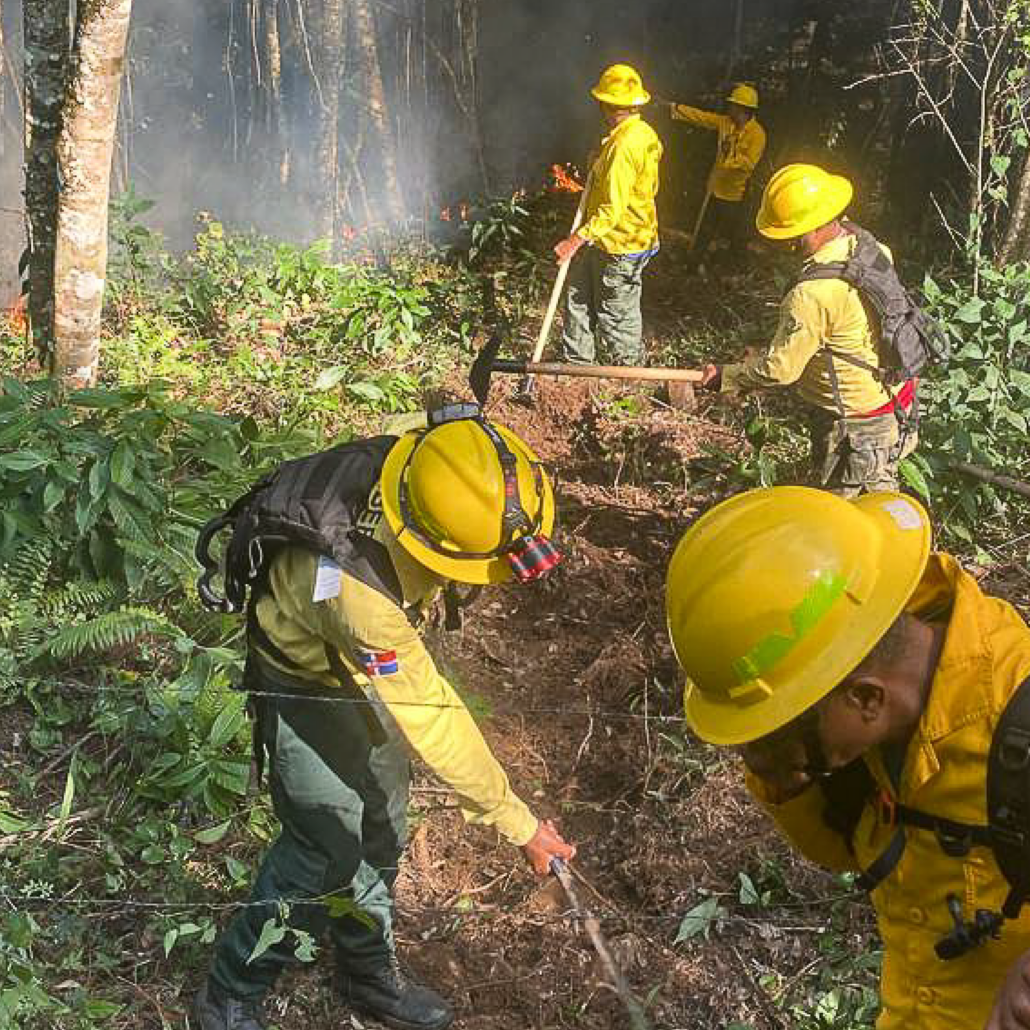 Bomberos forestales combaten incendios en diversos puntos del país