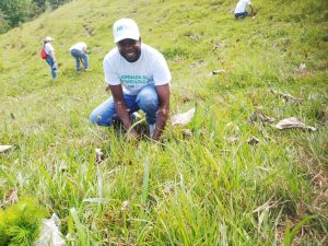 Grupo Corripio y la Fundación Mundo Verde participan en jornada de reforestación en la cuenca media del río Maimón