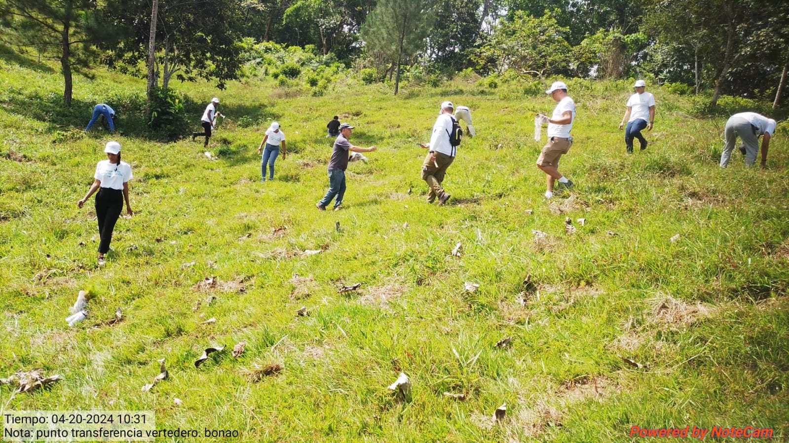 Grupo Corripio y la Fundación Mundo Verde participan en jornada de reforestación en la cuenca media del río Maimón
