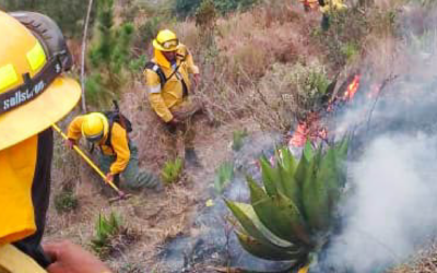Ministerio de Medio Ambiente informa que incendio en el Parque Nacional José del Carmen Ramírez está controlado.
