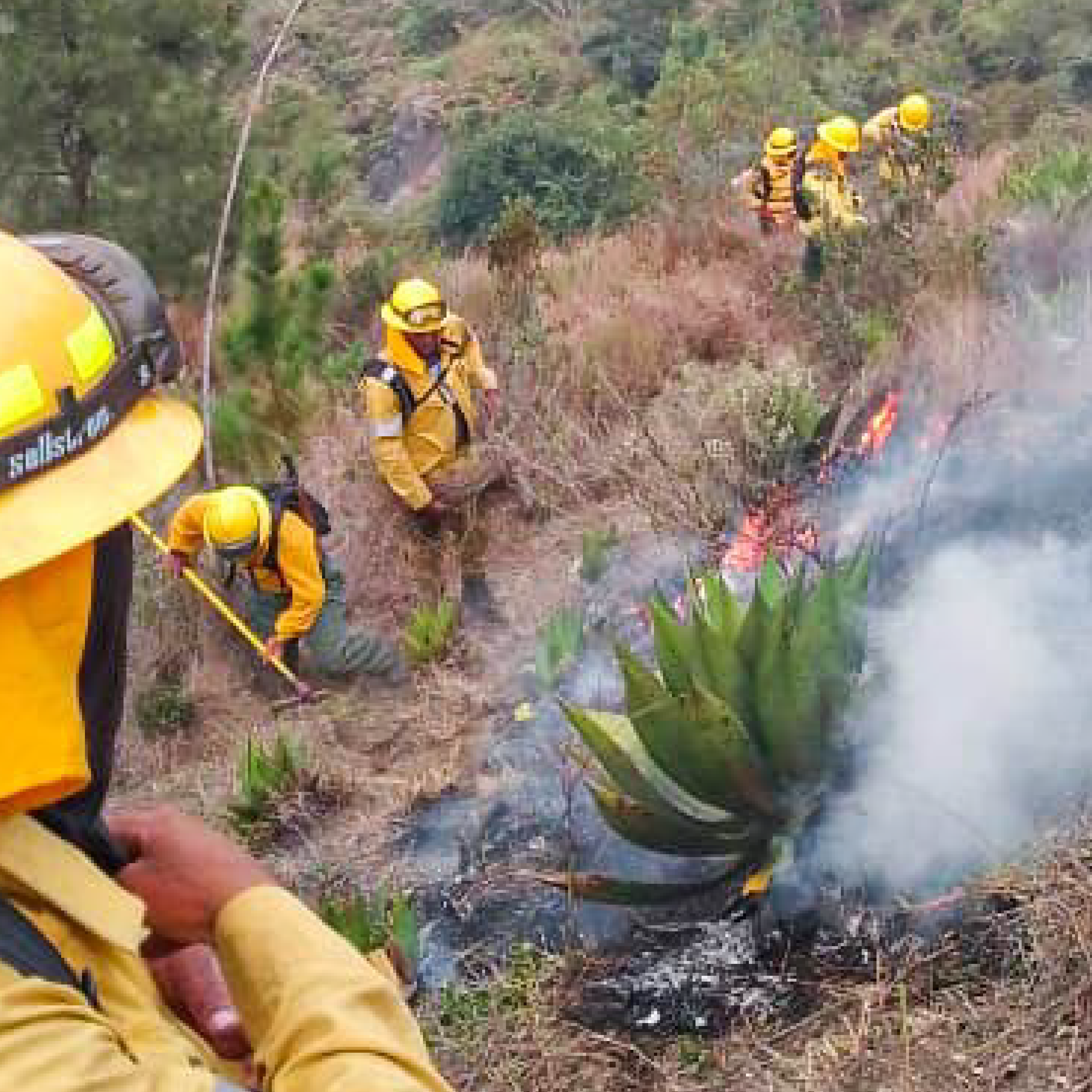 Ministerio de Medio Ambiente informa que incendio en el Parque Nacional José del Carmen Ramírez está controlado.