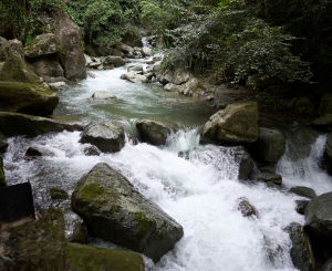 Reserva de Biosfera Madre de las Aguas