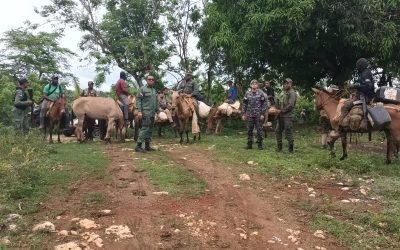 Intervención en Los Haitises llevó el arresto de 439 desaprensivos que depredaban en el parque nacional