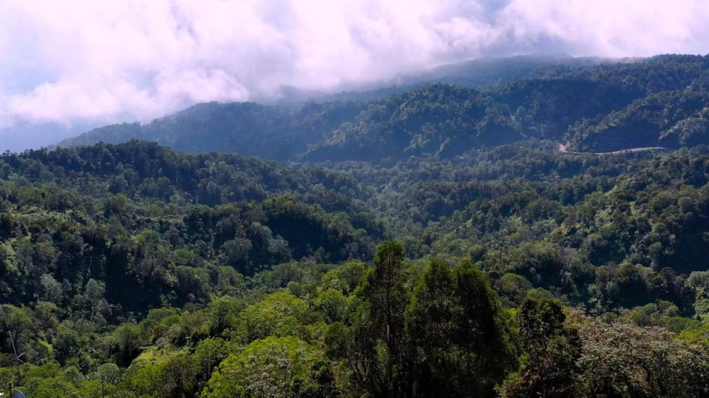 La Reserva de Biosfera Madre de las Aguas “será la tercera en el país