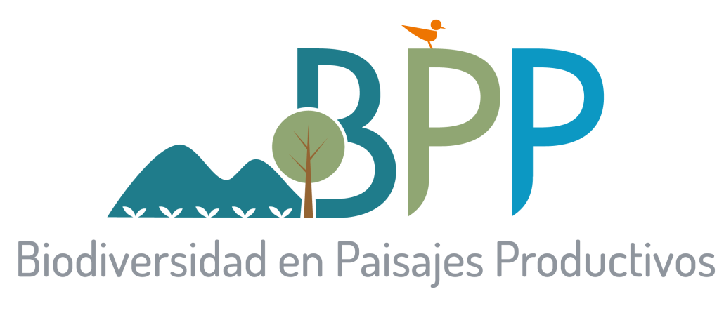 Logo BPP