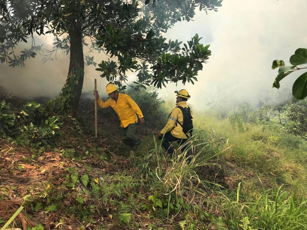 Bomberos de Medio Ambiente combaten incendio forestal en la Cienaguita-2