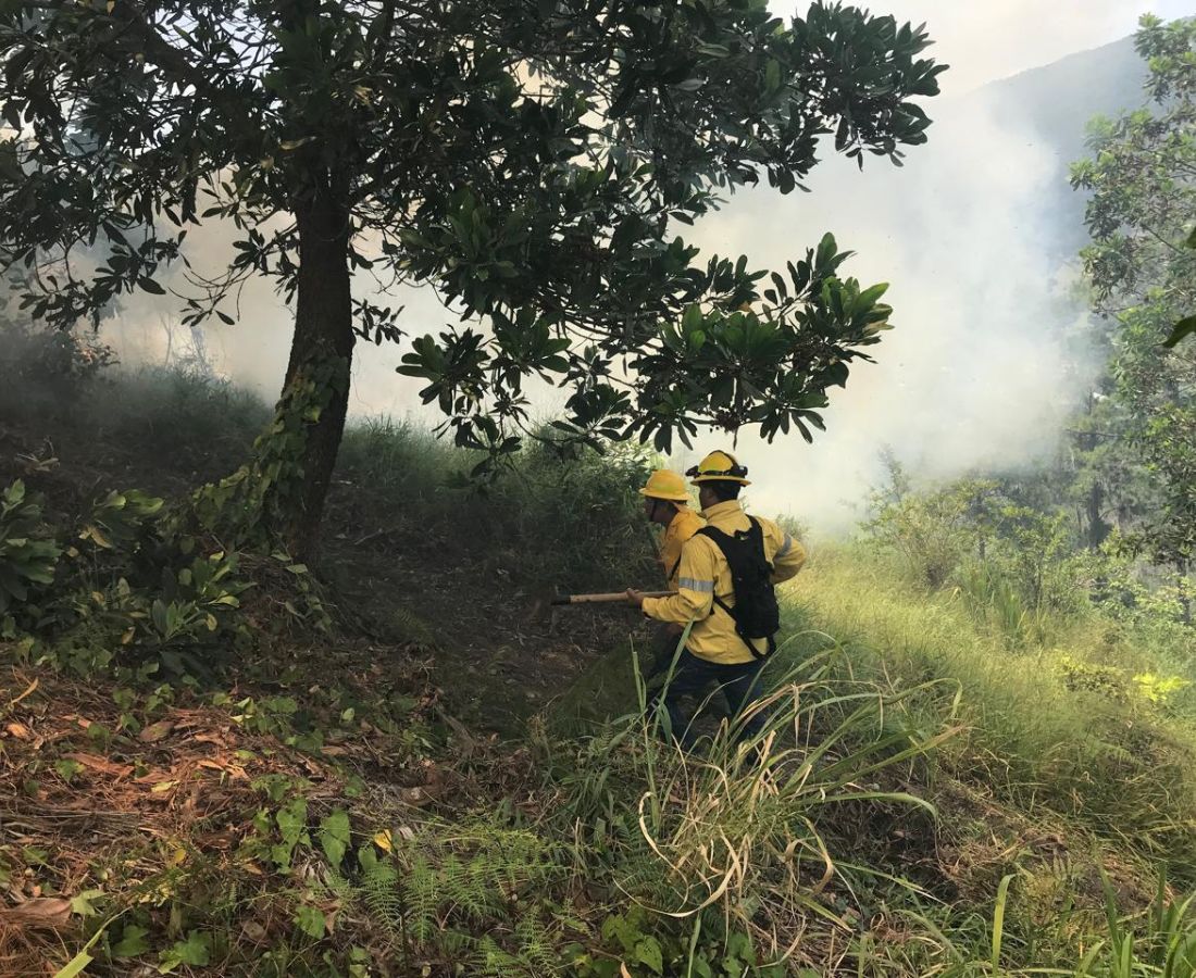 Foto np -Bomberos de Medio Ambiente combaten incendio forestal en la Cienaguita