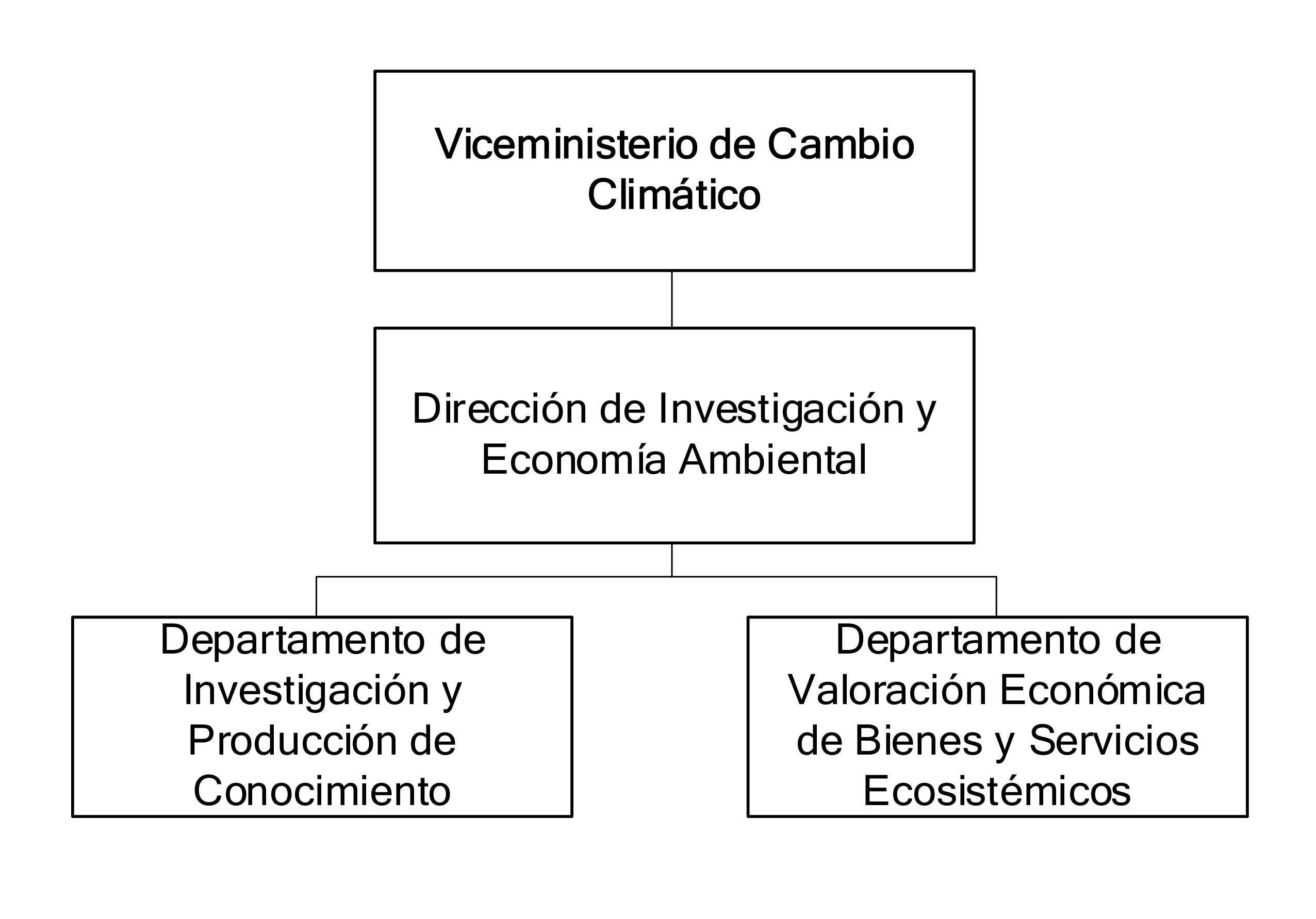 ORGANIGRAMA