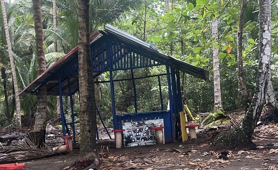 Medio Ambiente y el SENPA desmantelan 18 casetas construidas ilegalmente en playa Rogelio, Gaspar Hernández