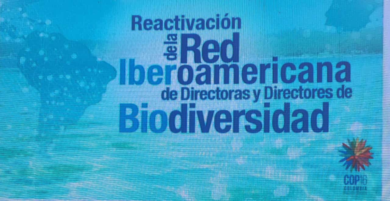 1. Durante la reactivación de la Red Iberoamericana de directoras y directores de Biodiversidad