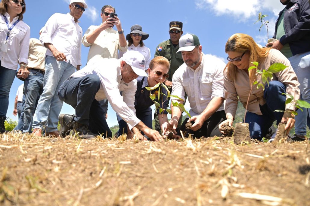 Medio Ambiente y Sur Futuro dan inicio en la región sur a las actividades del Mes de la Reforestación