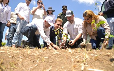 Medio Ambiente y Sur Futuro dan inicio en la región sur a las actividades del Mes de la Reforestación