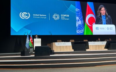 COP29: RD llama a convertir los compromisos ambientales en acciones inmediatas contra el cambio climático