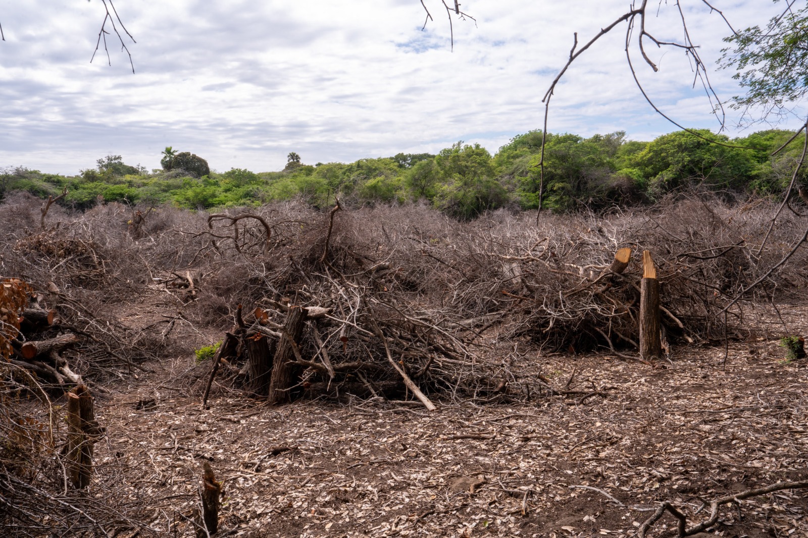 Viceministerio de Áreas Protegidas y Biodiversidad, y del Departamento de Fiscalización de la institución, junto al Servicio Nacional de Protección Ambiental (SENPA),