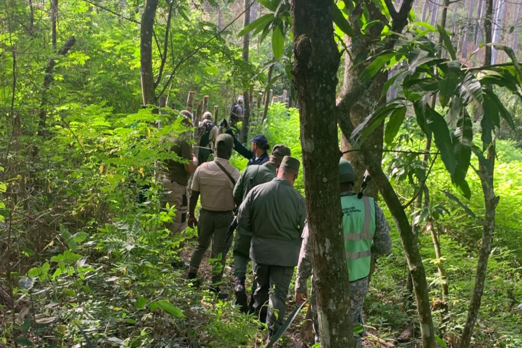 Medio Ambiente inicia recuperación Proyecto Forestal Sabana Clara en Restauración