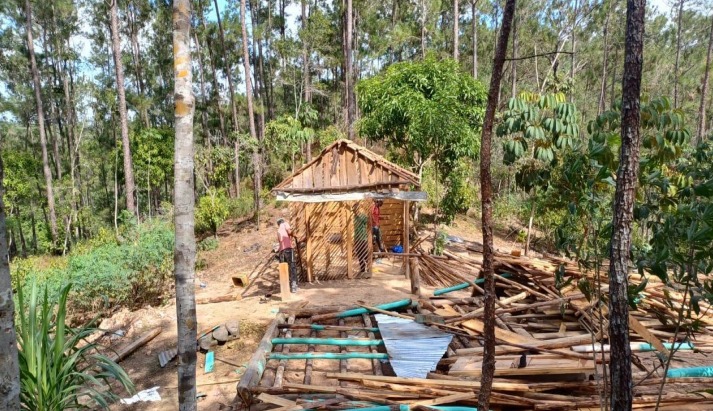 Medio Ambiente inicia recuperación Proyecto Forestal Sabana Clara en Restauración