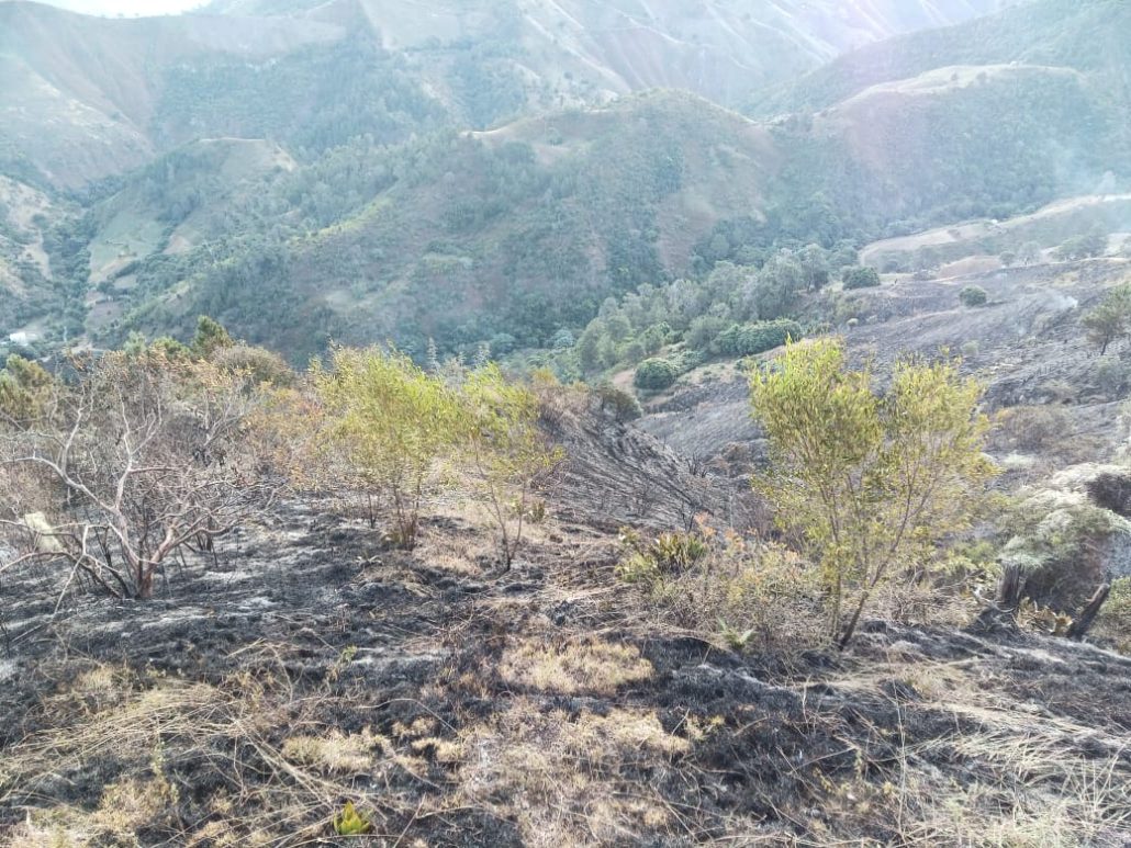 Foto 1. Bomberos forestales extinguen incendio en Parque Nacional Valle Nuevo