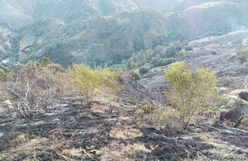 Bomberos forestales extinguen incendio en el Parque Nacional Valle Nuevo