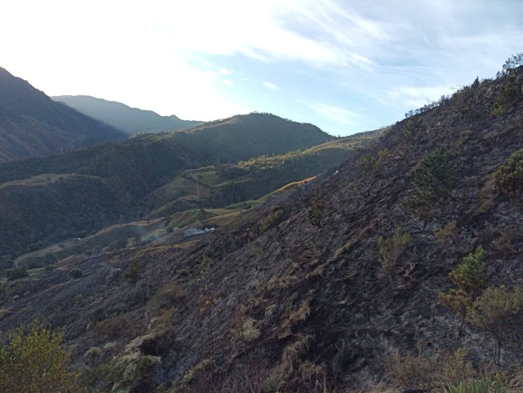 Foto 2. Bomberos forestales extinguen incendio en Parque Nacional Valle Nuevo