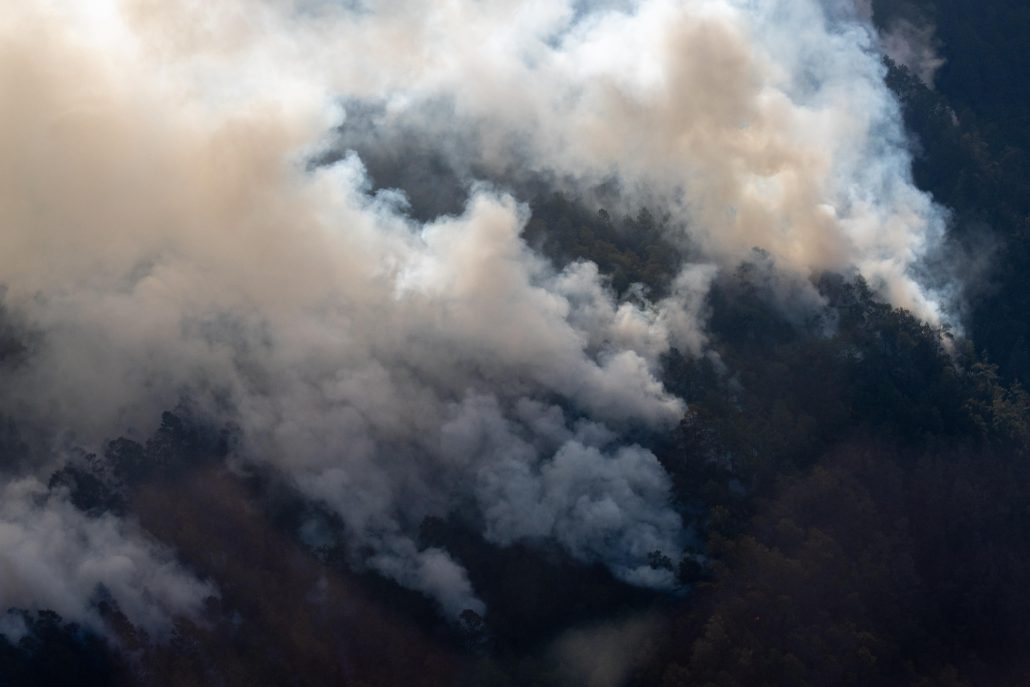 WhatsApp Image 2025 08 22 at 17.48.38 (1)