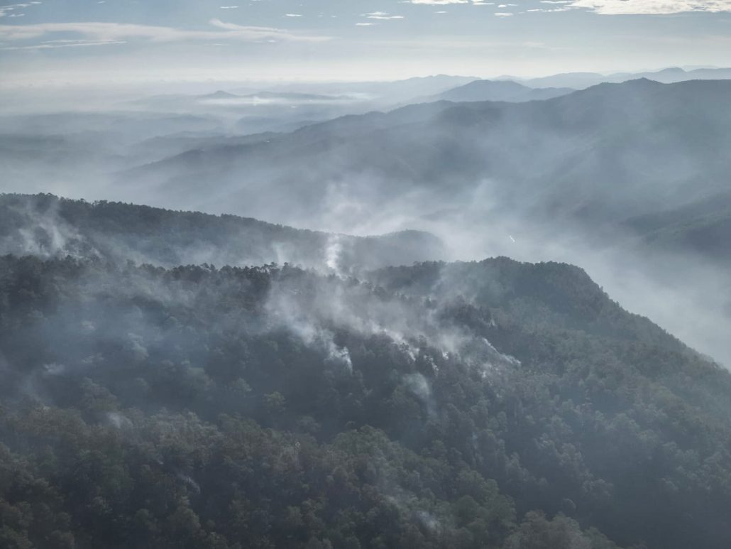 WhatsApp Image 2025 08 25 at 09.37.011