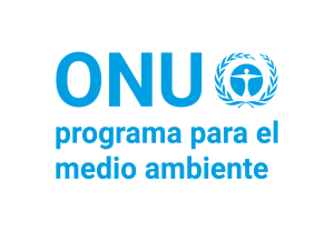 ONU Logo