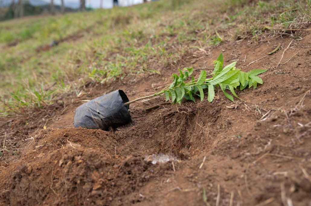 WhatsApp Image 2025 10 13 at 3.47.21 PM (1)