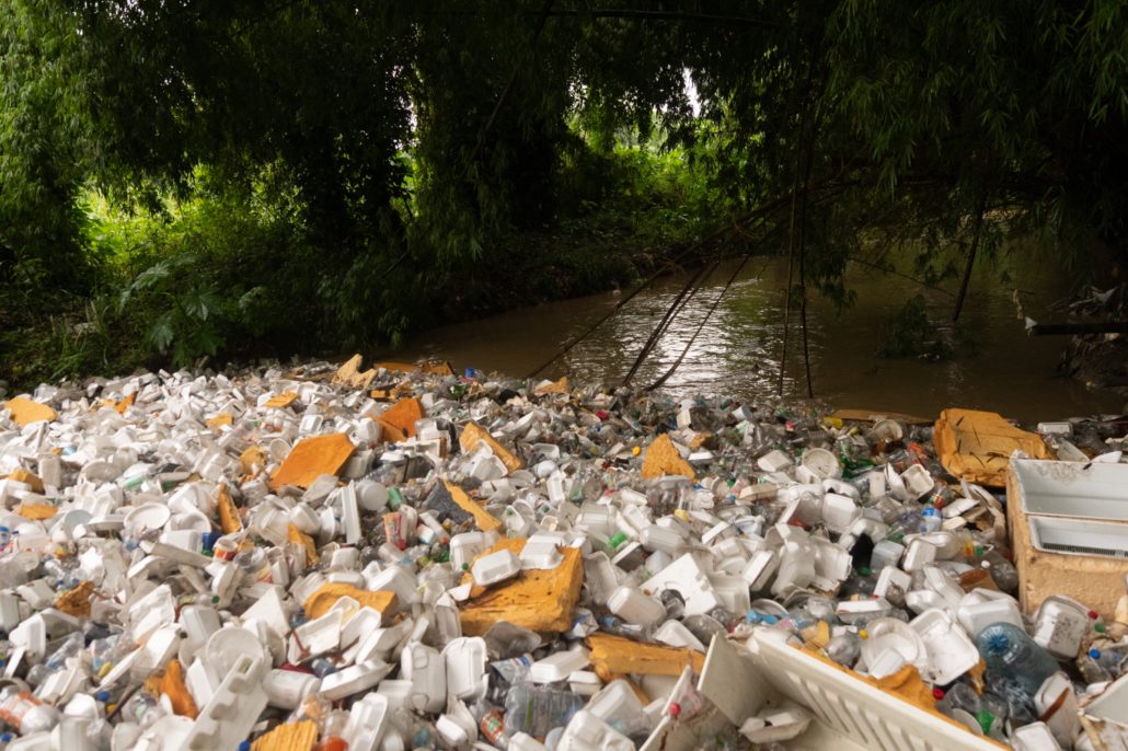 WhatsApp Image 2025 10 23 at 3.39.28 PM (1)