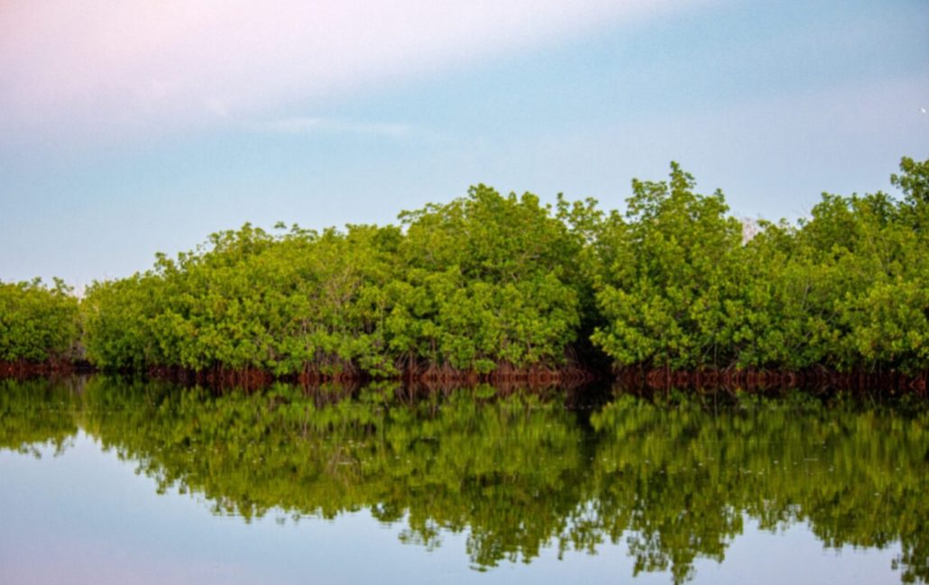 WhatsApp Image 2025 10 27 at 8.52.45 AM (1)