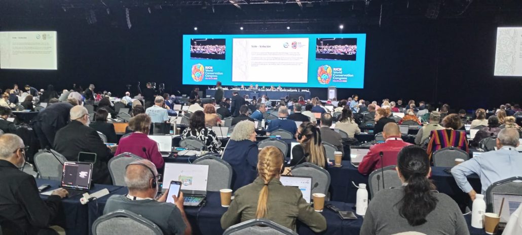 WhatsApp Image 2025 10 27 at 9.43.13 AM (1)