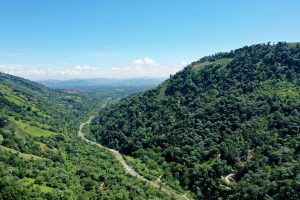 República Dominicana recibe su primer pago en el marco del Fondo Cooperativo para el Carbono de los Bosques (FCPF)