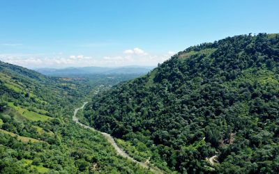 República Dominicana recibe su primer pago en el marco del Fondo Cooperativo para el Carbono de los Bosques