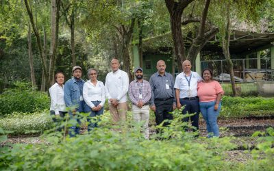 Semillas que renacen para restaurar la República Dominicana