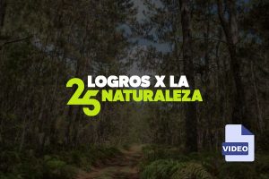 MINIATURA 25 HITOS 1