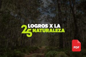 MINIATURA 25 HITOS 2