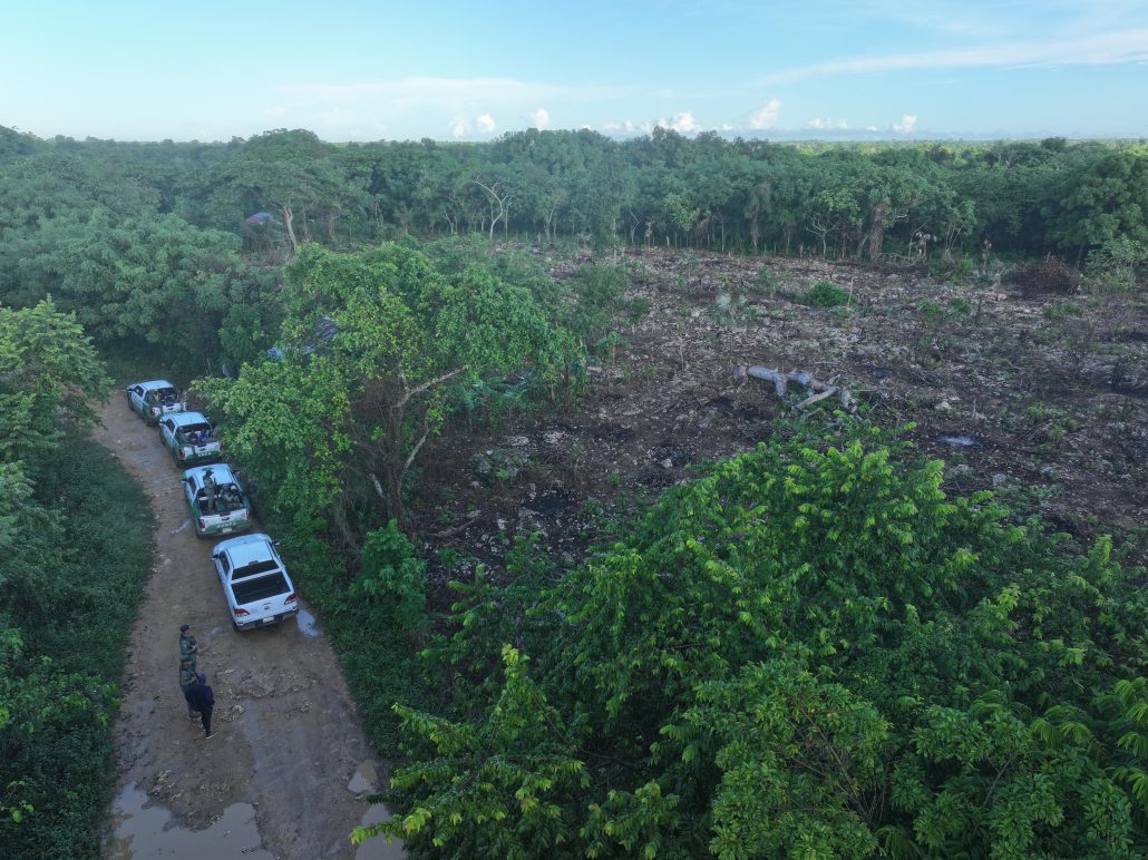 WhatsApp Image 2025 11 20 at 12.01.29 PM