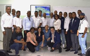 Medio Ambiente define metas de reforestación para regiones Este y Nordeste en 2026