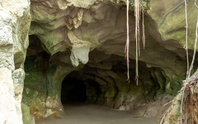 Medio Ambiente anuncia cierre temporal de las cuevas del Pomier para su restauración y protección integral