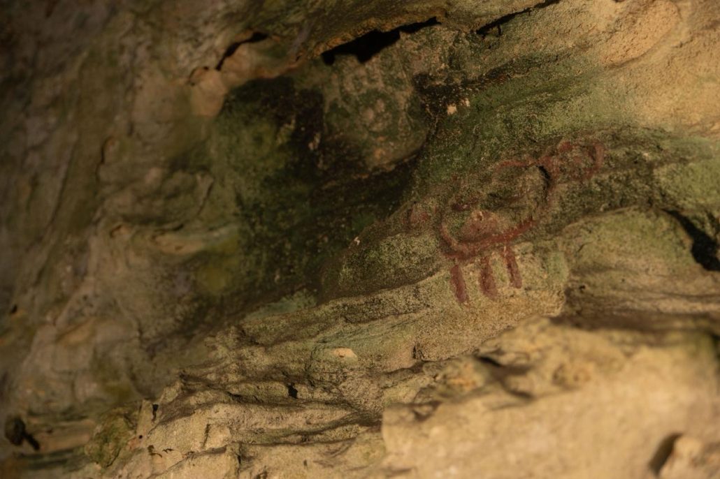 WhatsApp Image 2025 11 28 at 4.32.54 PM