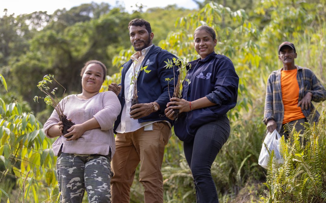 Medio Ambiente conmemora el Día Mundial de los Suelos con jornada de reforestación en Los Cacaos