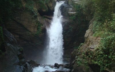 Medio Ambiente lanza Registro de Iniciativas de Producción Más Limpia para impulsar la sostenibilidad empresarial