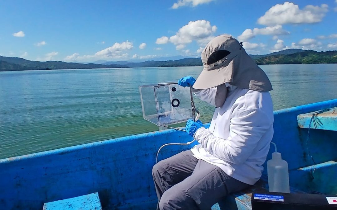 Sigue en curso investigación de Medio Ambiente sobre la coloración verde del agua en la presa de Hatillo